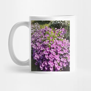 Purple Daisy Daisies Pretty Mug